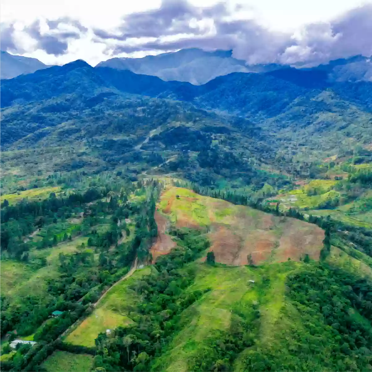 MOUNTAIN PINES FARM LOT — Residential Lot in Manolo Fortich, Bukidnon, 8703 — Photo 3