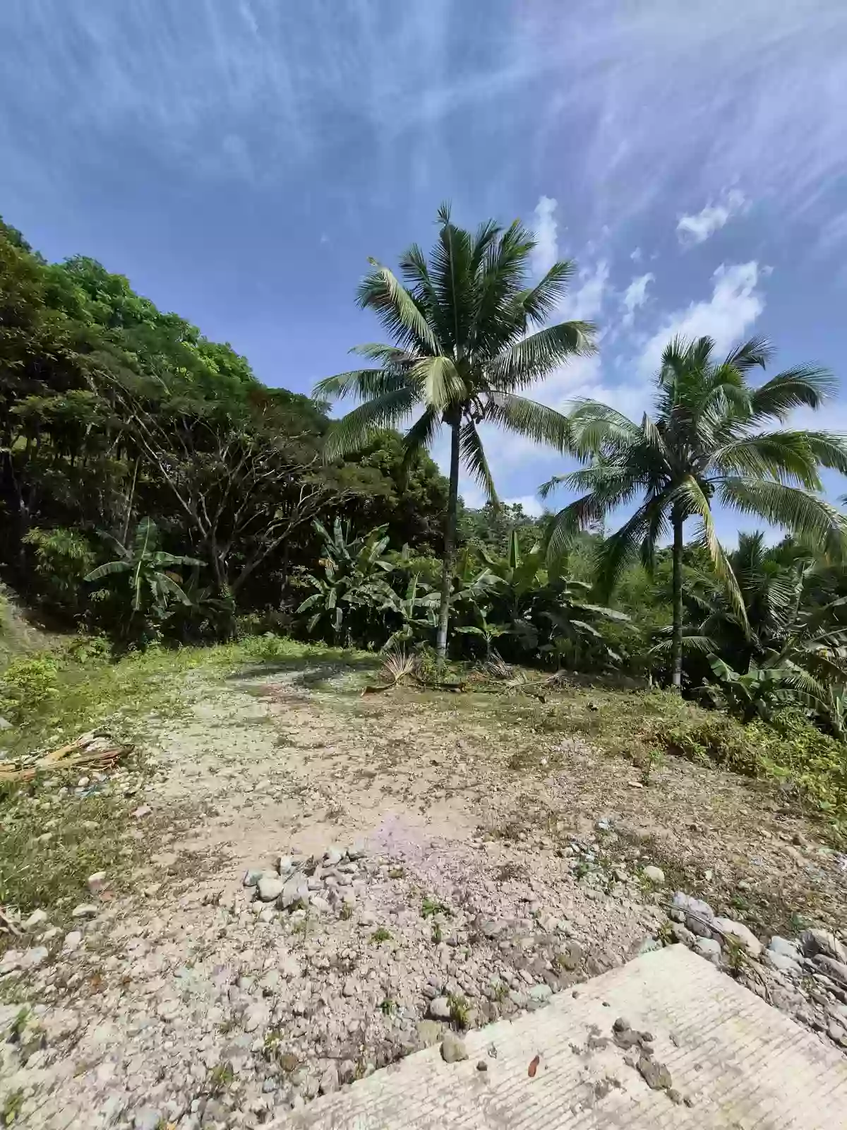For Sale: Residential Lot in San Antonio, Sibulan — 300 sqm — Residential Lot in Sibulan, Negros Oriental, 6201 — Photo 7