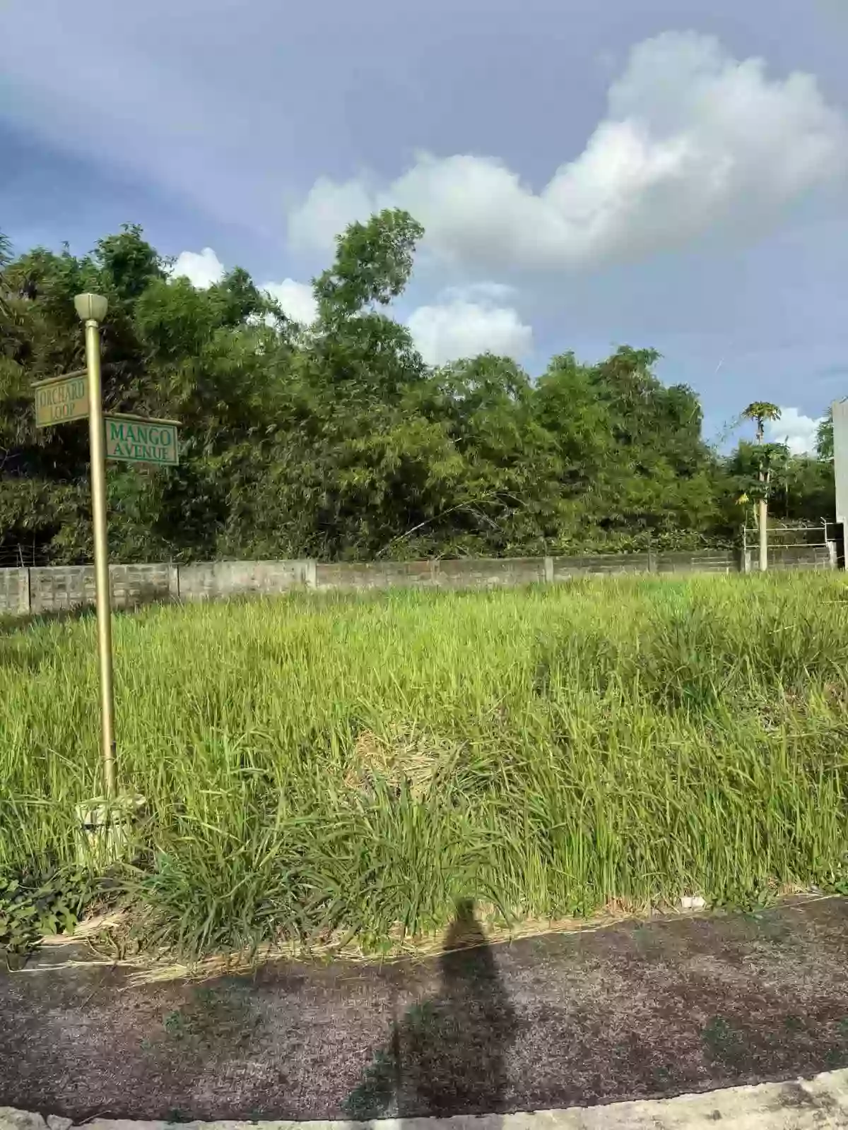 For Sale: Residential Lot in Concepcion Pequeña, Naga City — 240 sqm — Residential Lot in Camarines Sur, 4400, Philippines — Photo 5