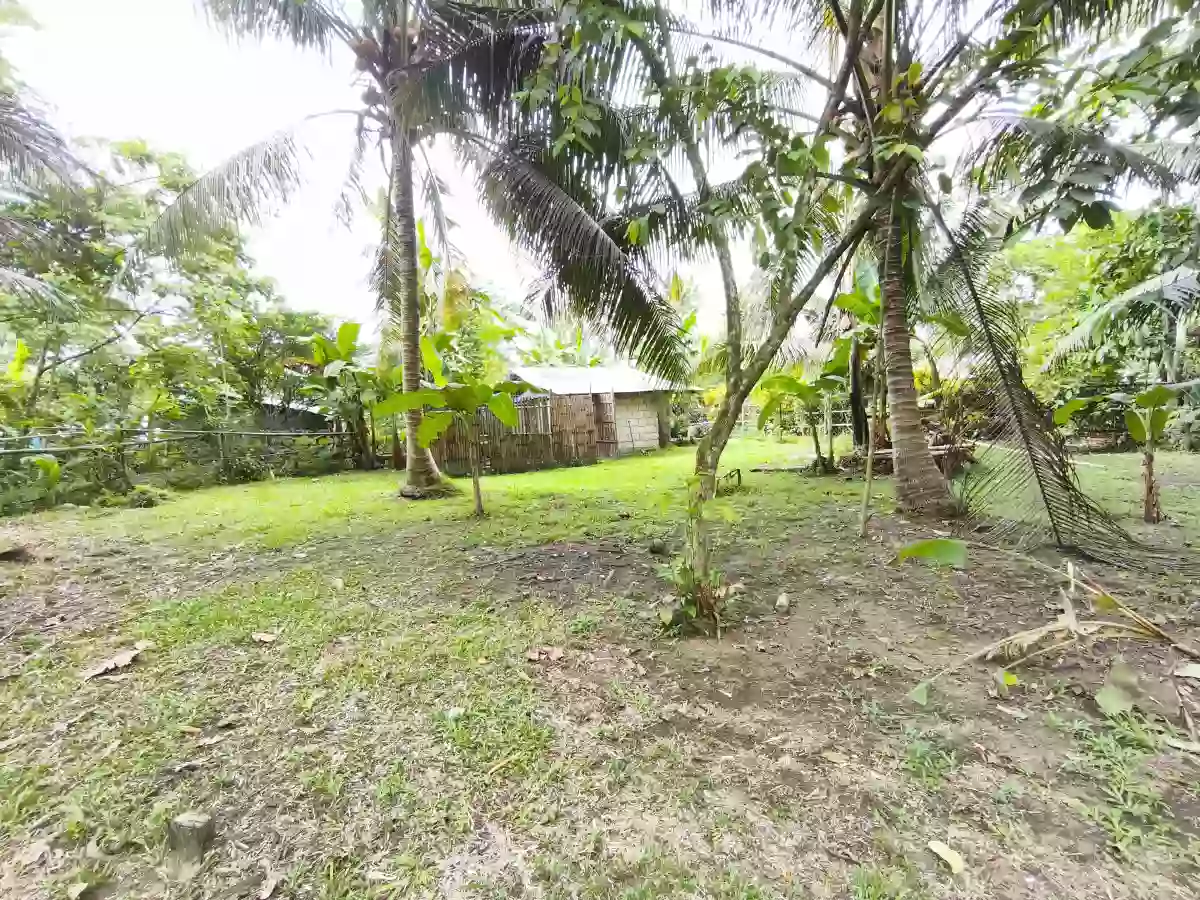 Agricultural lot for Sale in Tanauan Leyte — Agricultural Lot in Calsadahay, Tanauan, Leyte — Photo 3