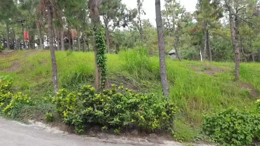 Rush Sale: LOW PRICE 340SQM RESIDENTIAL LOT INSIDE CROSSWINDS TAGAYTAY — Residential Lot in Tagaytay City, Cavite, 4120 — Photo 4