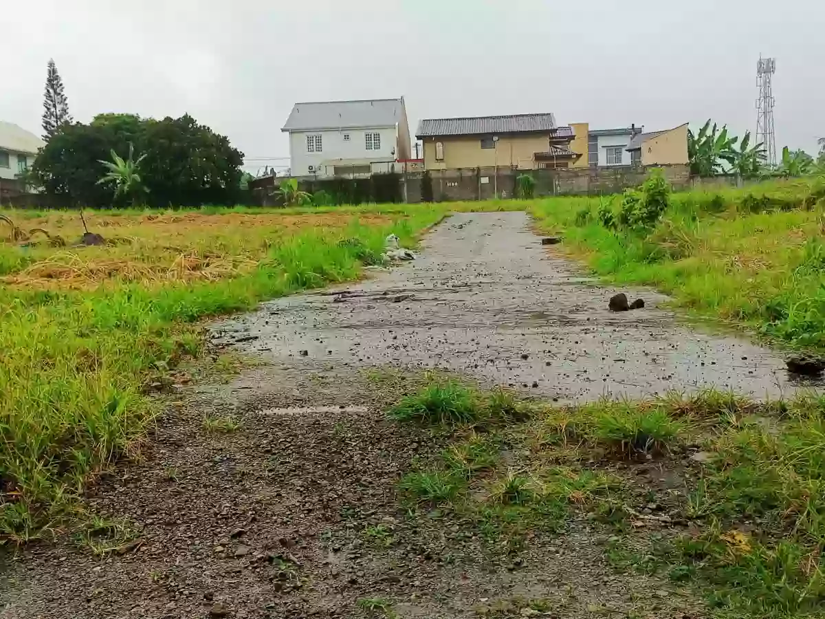 For Sale: Residential Lot Near Country Homes 3, Tagaytay City — 20,000,000 sqm — Residential Lot in San Jose Silang Junction South, Tagaytay City, Cavite — Photo 3