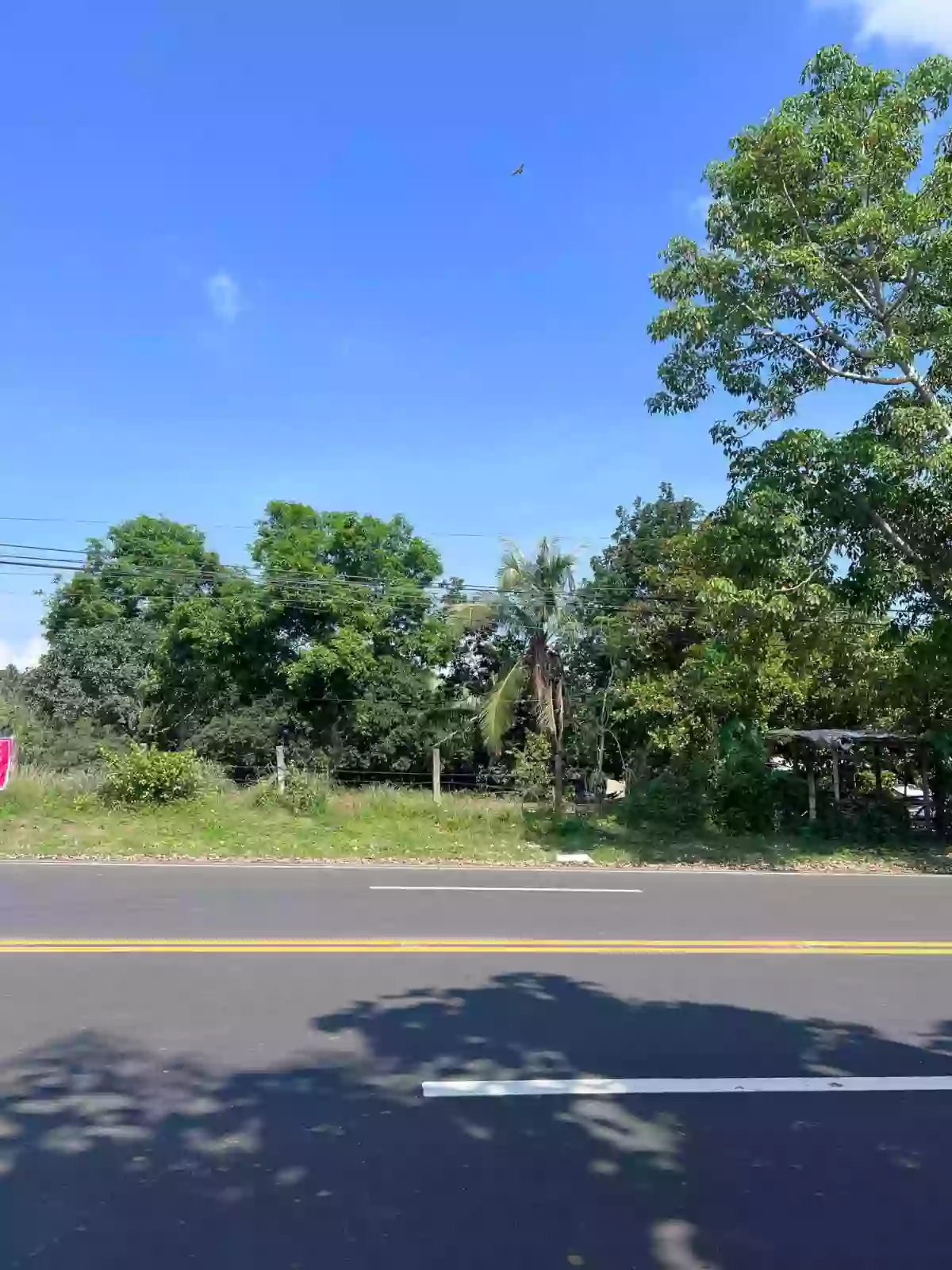 for sale Agricultural Lot in Bayanga, Cagayan de Oro City — 30,000 sqm — Agricultural Lot in Bayanga, Cagayan de Oro City, Misamis Oriental — Photo 2