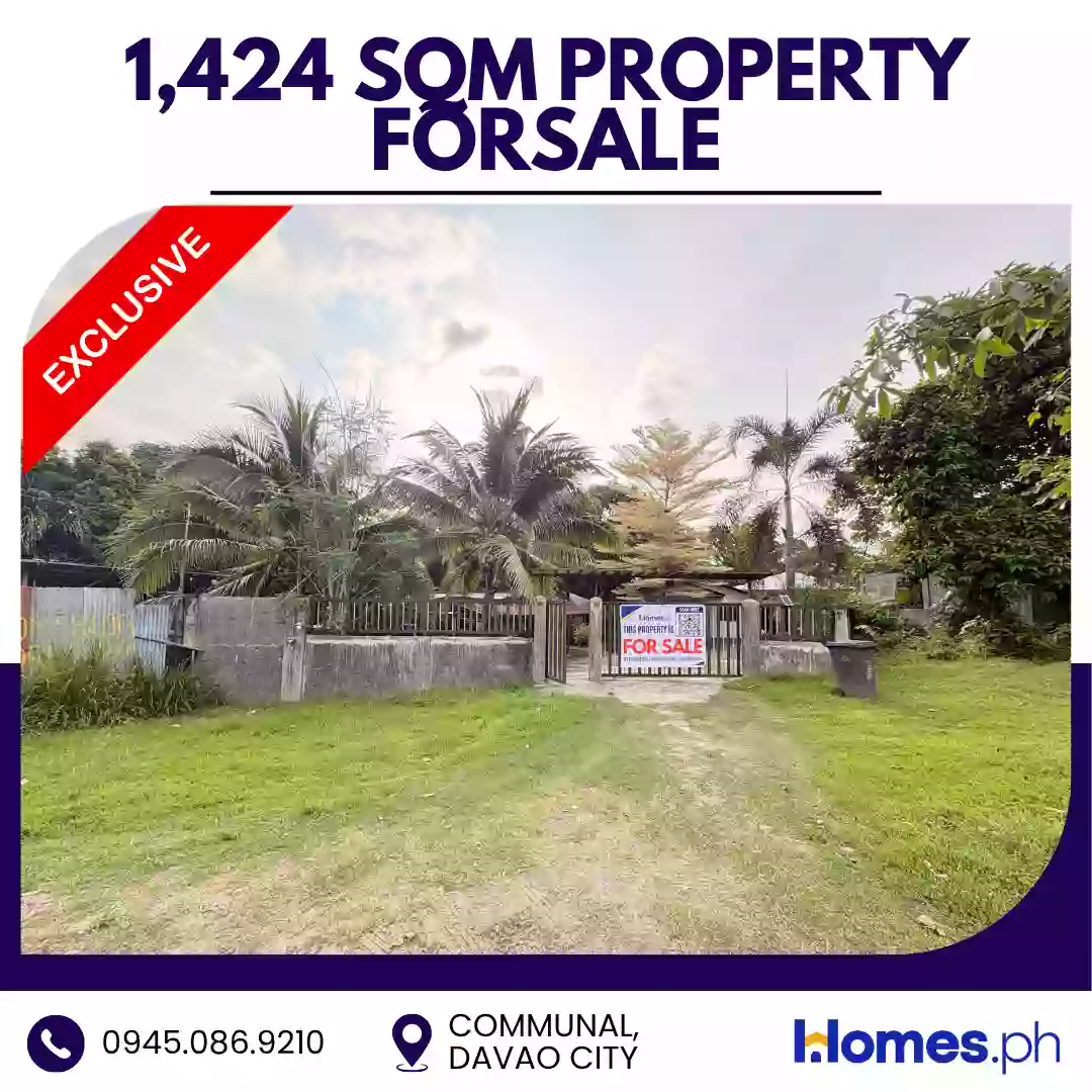 For Sale: House and Lot in Communal, Davao City — 1,424 sqm — House and Lot in Davao City, Davao del Sur, 8000 — Photo 3