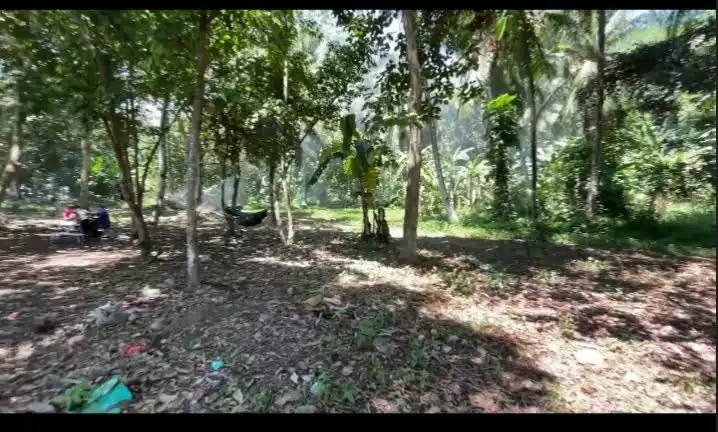 Prime Commercial Lot for Sale — Commercial Lot in Cagayan de Oro City, Misamis Oriental, 9000 — Photo 6