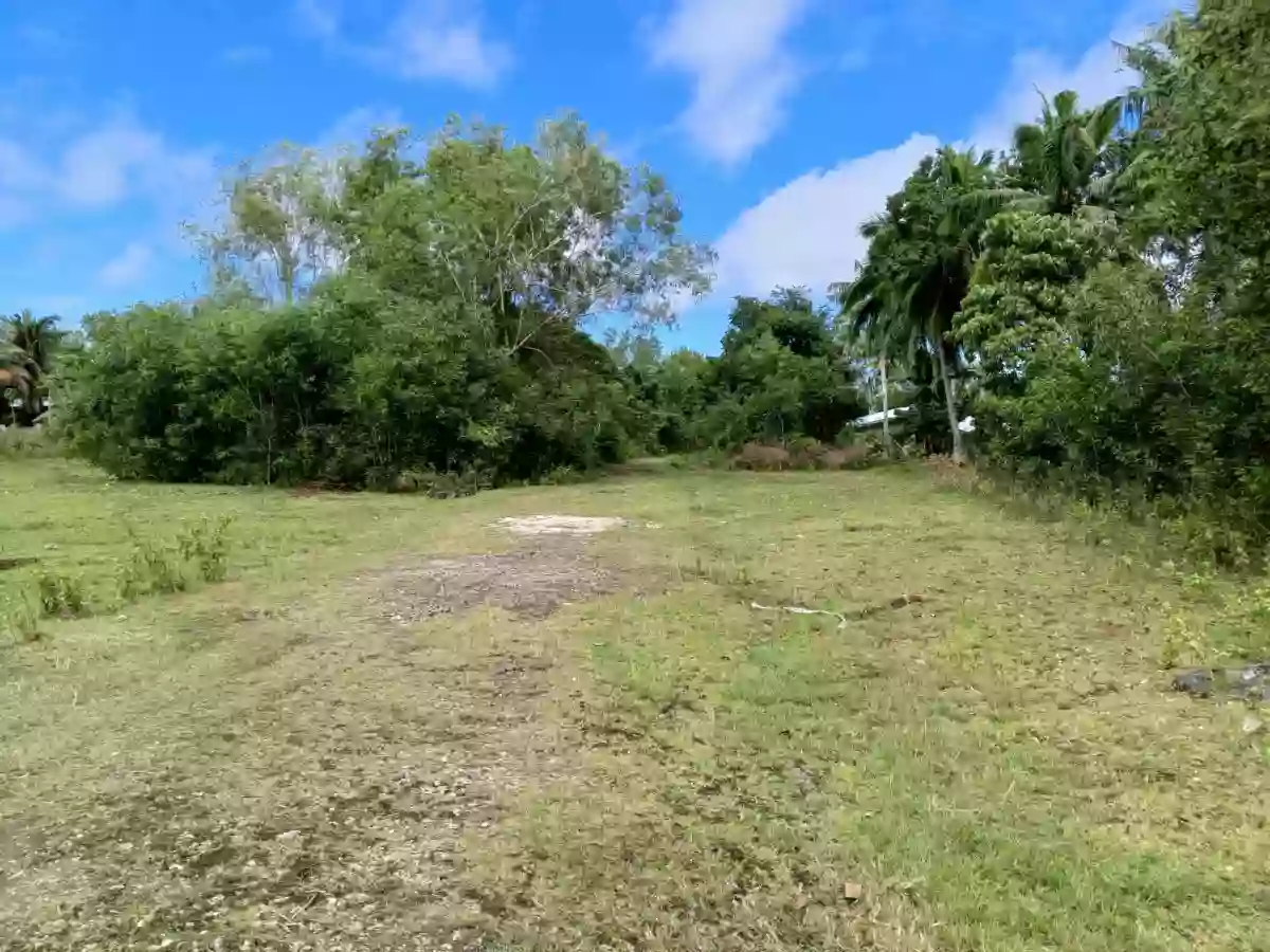 For Sale: Residential Lot in Tawala, Panglao — 200 sqm — Residential Lot in Panglao, Bohol, 6340 — Photo 5