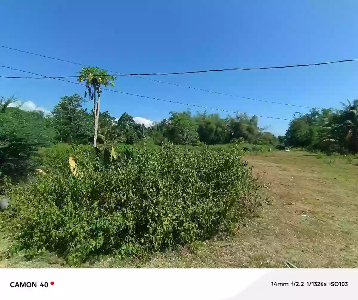 For Sale: Magatas Residential Lot in Sibulan, Negros Oriental — 3058 sqm — Residential Lot in Sibulan, Negros Oriental, 6201 — Photo 2