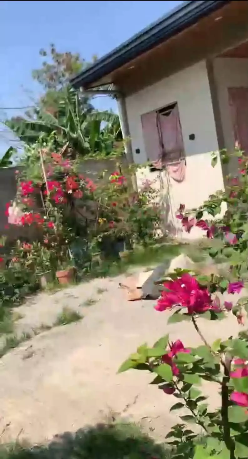 For Sale: 1BR House and Lot in Bulihan, Plaridel — 70 sqm — House and Lot in Plaridel, Bulacan, 3004 — Photo 5