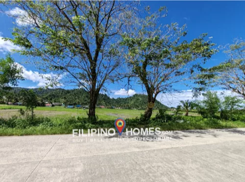 2 Has Lot for Sale Surigao City (Good for Warehouse) — Industrial Lot in Surigao City, Surigao del Norte, 8400 — Photo 5