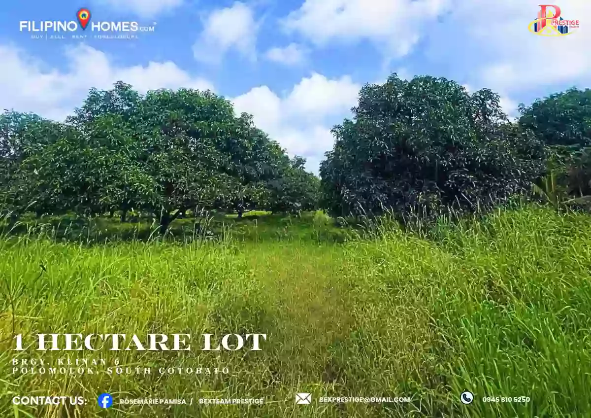 For Sale Agricultural Lot in Klinan 6, Polomolok — 10000 sqm — Agricultural Lot in Polomolok, South Cotabato, 9504 — Photo 5