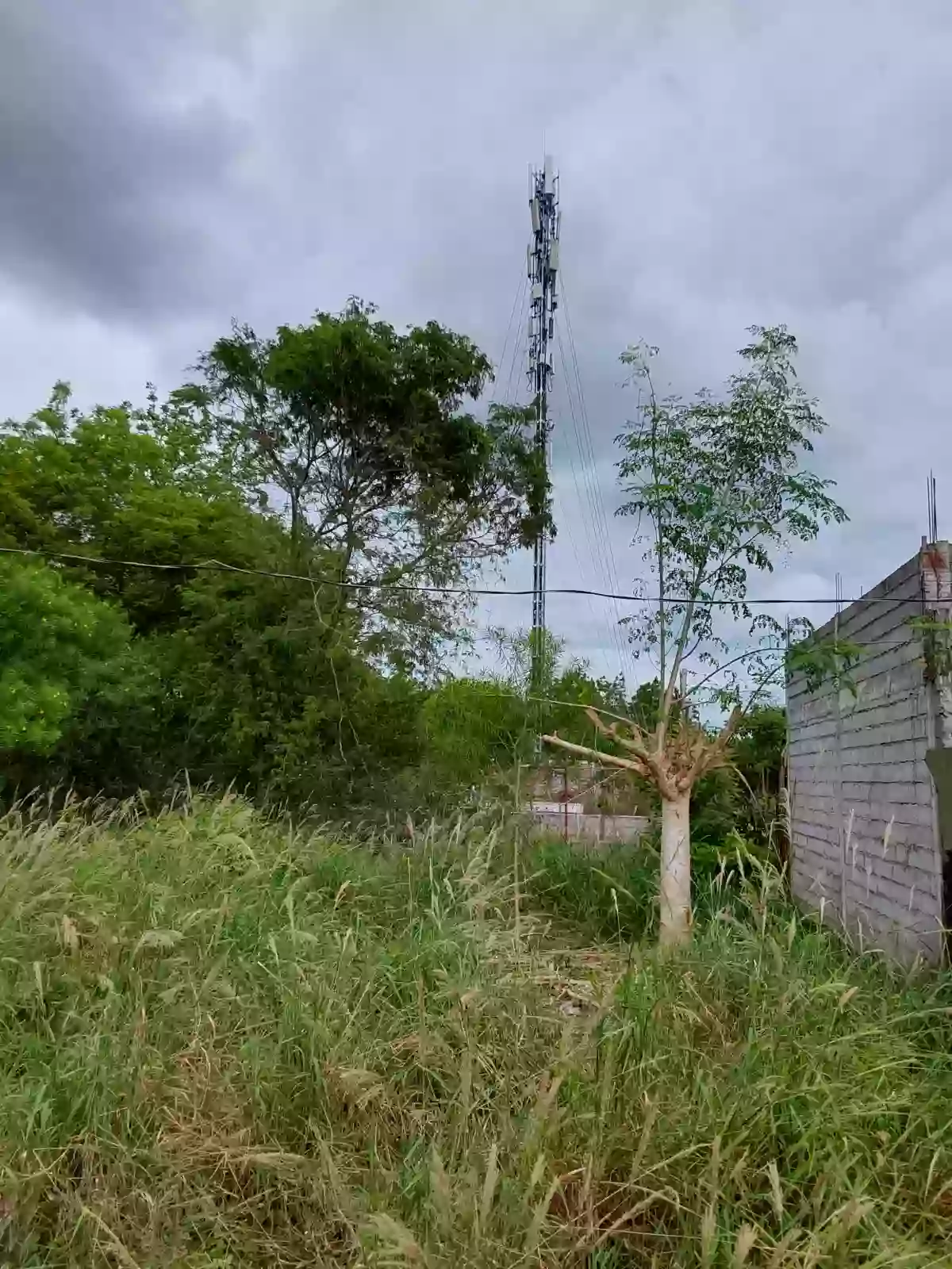Apopong residential  lot for sale individual title — Residential Lot in Gen. Santos City, South Cotabato, 9500 — Photo 2