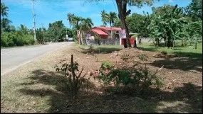 For Sale: Residential Lot in Libaong, Panglao, Bohol 1294 sqm — Residential Lot in Panglao, Bohol, 6340 — Photo 3