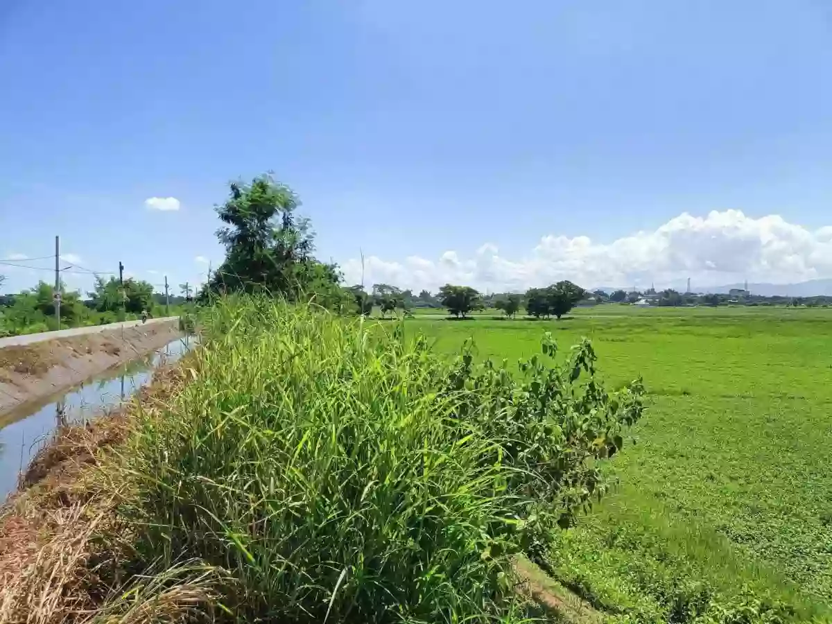 33,387 SQM Agricultural Land For Sale | Brgy. Calasag, San Ildefonso, Bulacan | Clean Title — Agricultural Lot in San Ildefonso, Bulacan, 3010 — Photo 4