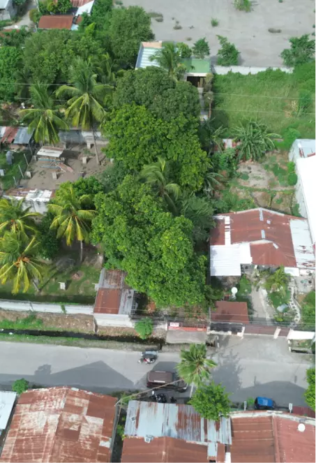 For Sale: Residential Lot in Lagao, General Santos City — 245 sqm — Residential Lot in General Santos City, South Cotabato, 9500 — Photo 5