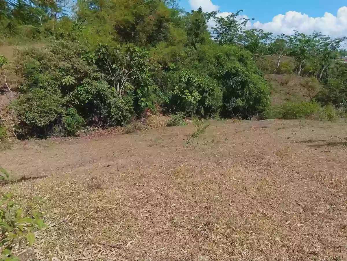 π‘ LOT FOR SALE β Cararayan, Naga City π‘ π Lot Area: 500 SQM π Clean Title β Agricultural Lot in Naga City, Camarines Sur, 4400 β Photo 4