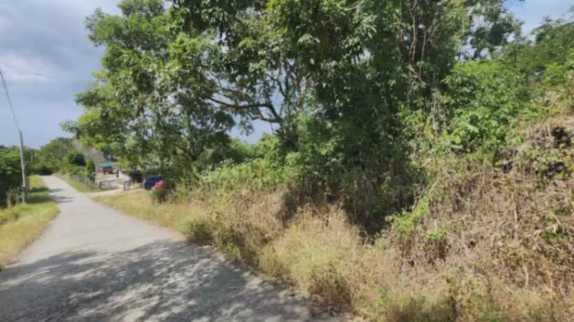 For Sale: 2-Hectare Ocean-View Property – Ideal Investment - photo 2