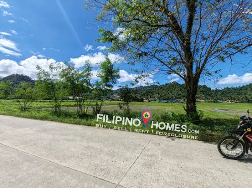 2 Has Lot for Sale Surigao City (Good for Warehouse) — Industrial Lot in Surigao City, Surigao del Norte, 8400 — Photo 4