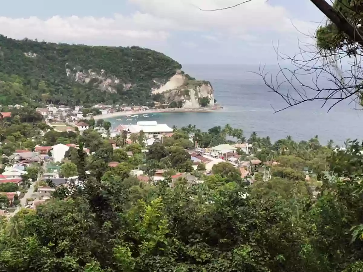 FOR SALE: Agricultural Lot Near Boljoon Heritage Park, Boljoon — 13,638 sqm