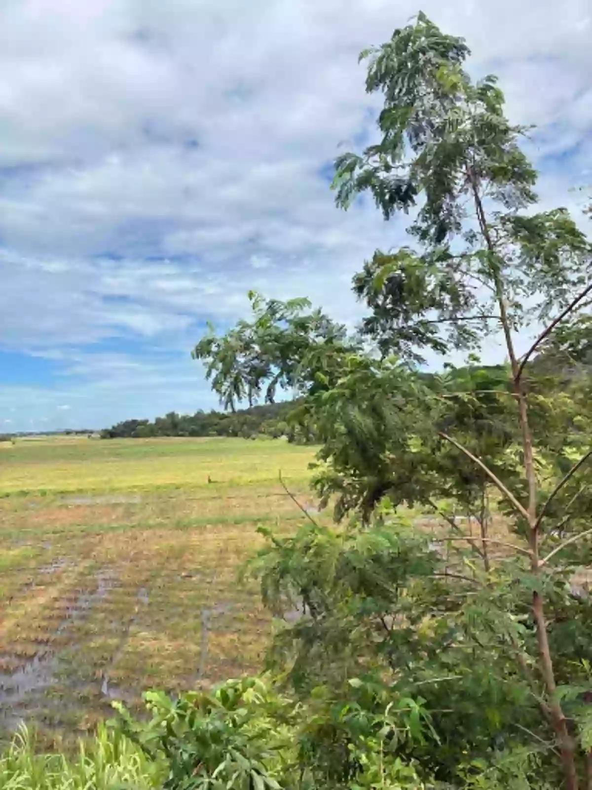 For Sale: Agricultural Lot in Tongantongan, Valencia, Bukidnon — 37000 sqm — Agricultural Lot in Valencia, Bukidnon, 8709 — Photo 5