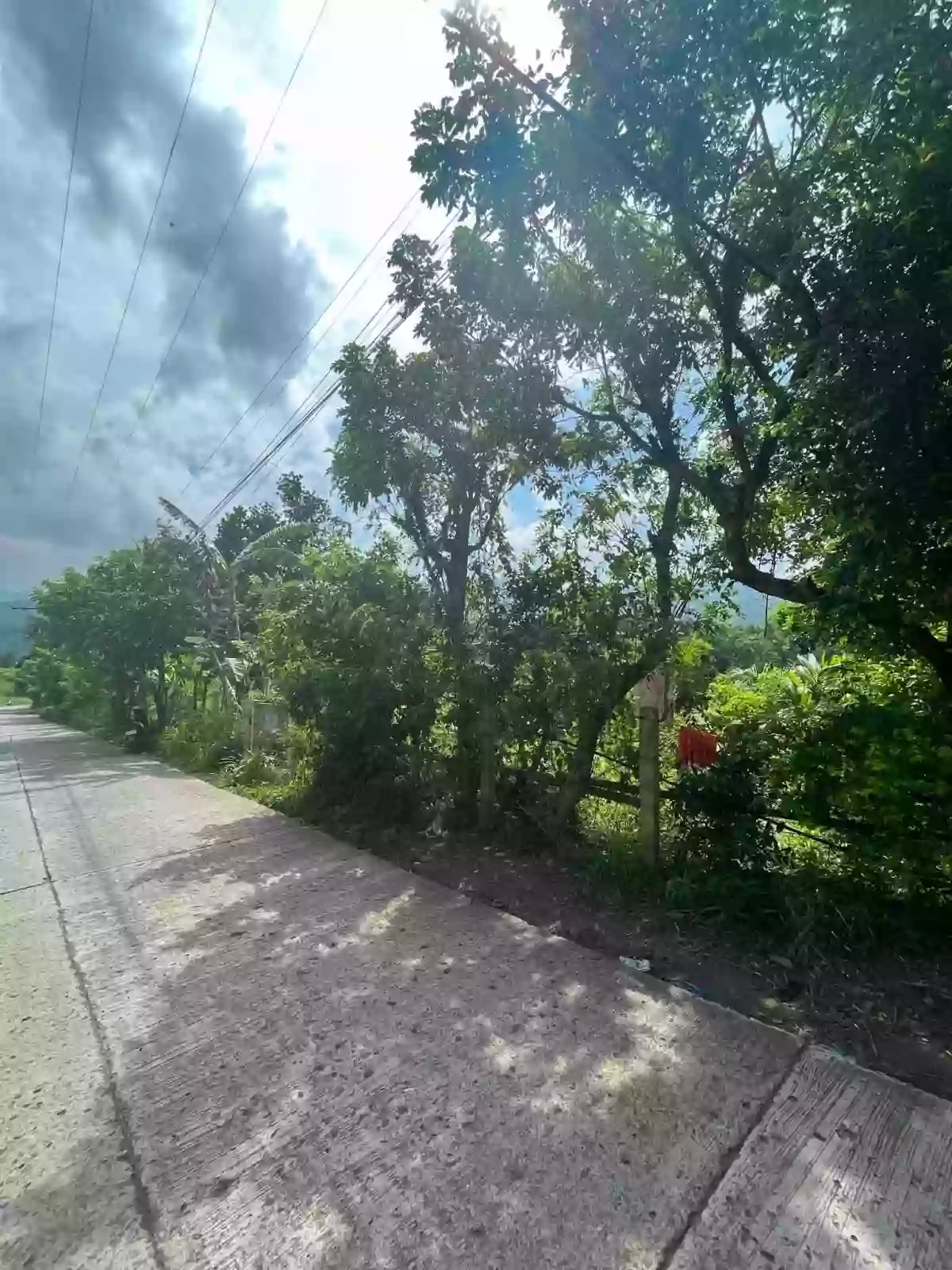 ๐ฅ FOR SALE | TITLED MOUNTAIN LOT IN CEBU CITY ๐ฅ ๐ Brgy. Bonbon, Cebu City (Accessible via Busay / Transcentral Highway) โ Agricultural Lot in Cebu City, Cebu, 6000 โ Photo 4