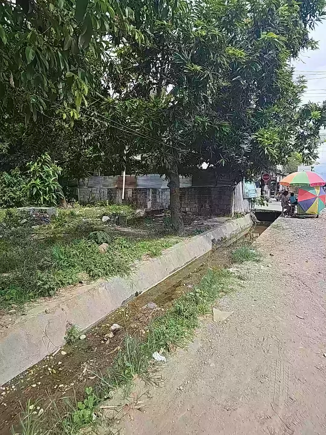 For Sale: Commercial Lot in Dalipuga, Iligan City — 4,817 sqm — Commercial Lot in Iligan City, Lanao del Norte, 9200 — Photo 5