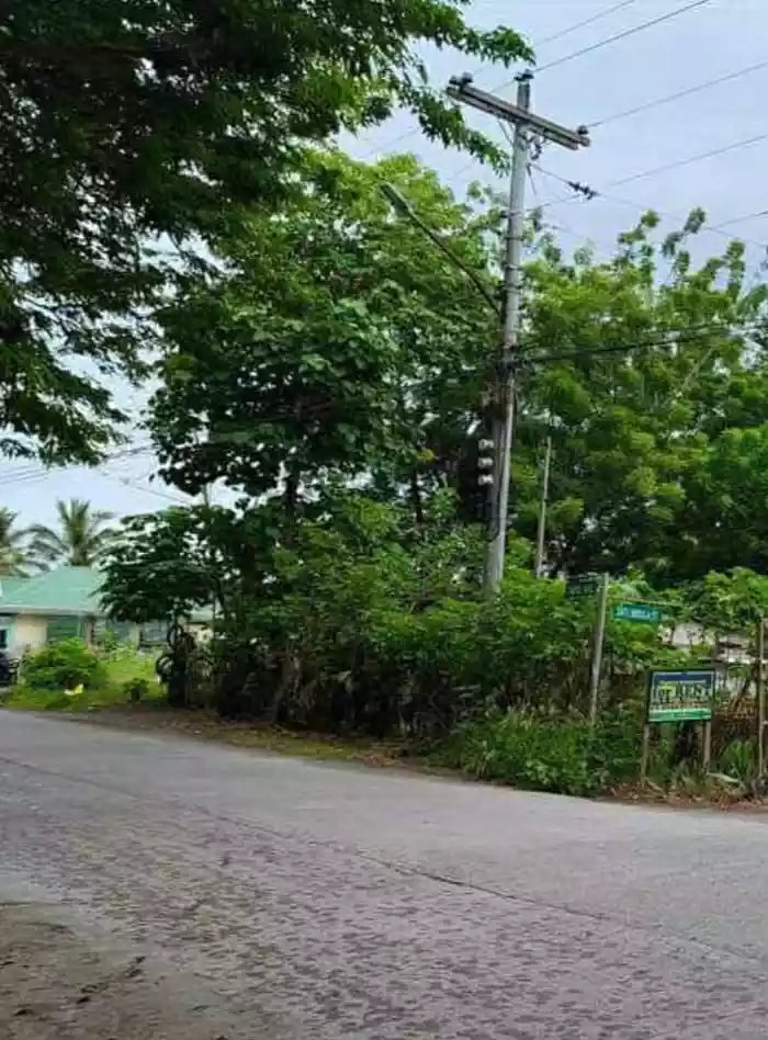 For Sale: Commercial Lot in Ligaya, General Santos City — 1000 sqm — Commercial Lot in Main Road, Near UST GENSAN, Ligaya — Photo 5