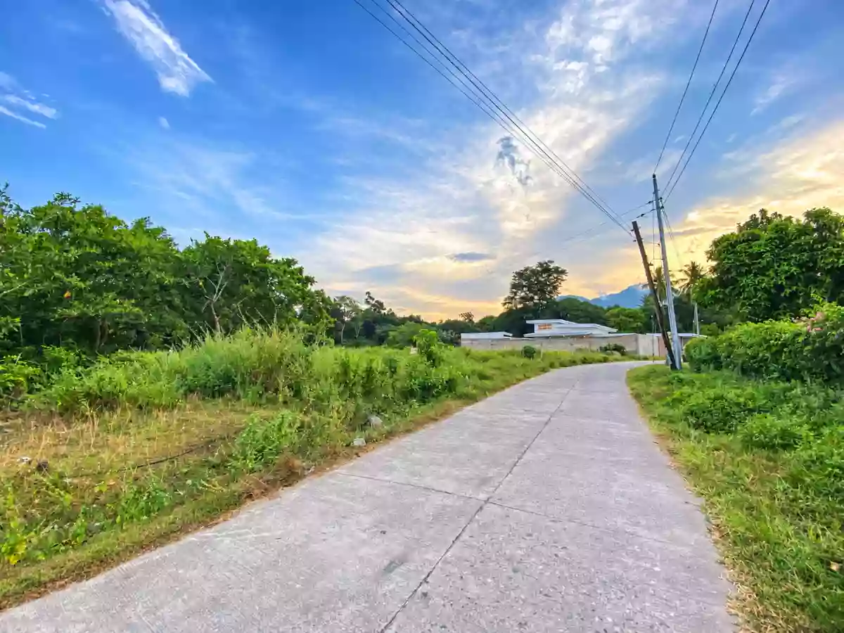 For Sale: Residential Lot in Bacung, Negros Oriental — 750 sqm