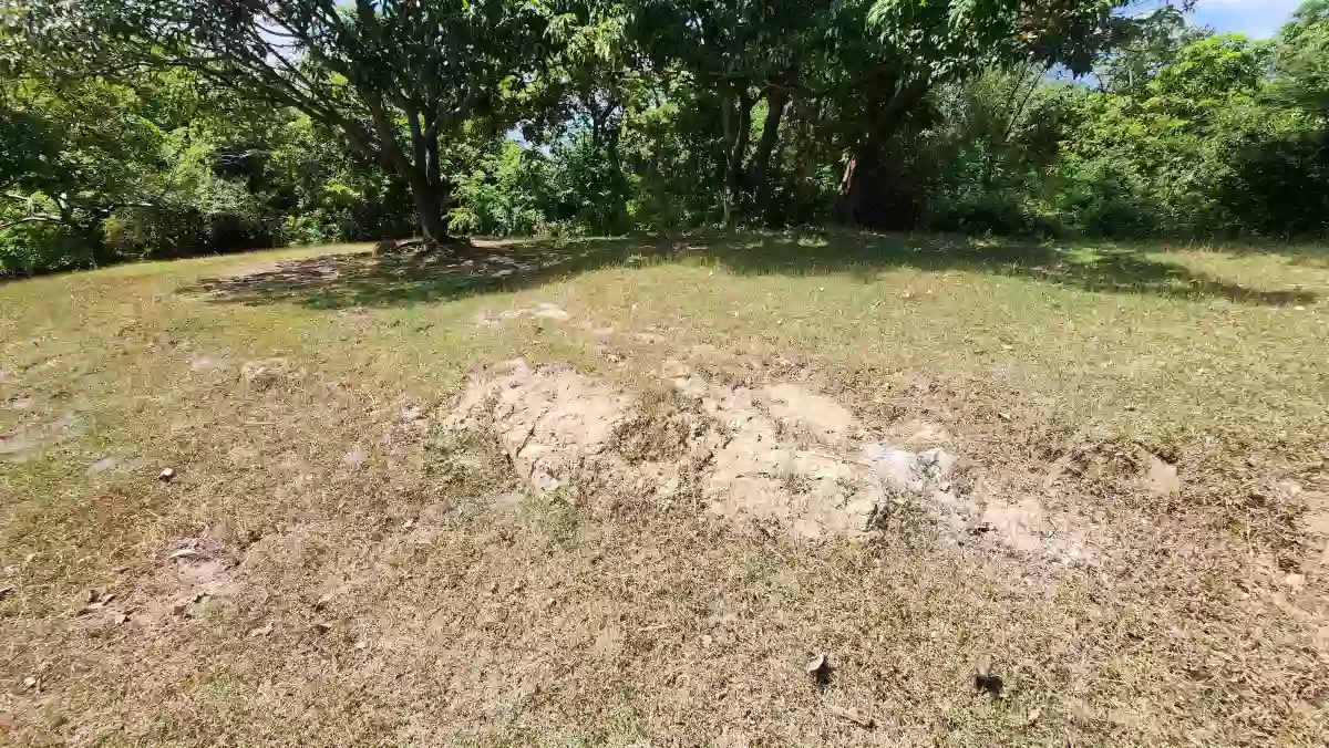 For Sale: 2-Hectare Ocean-View Property – Ideal Investment — Agricultural Lot in Calatagan, Batangas, 4215 — Photo 5