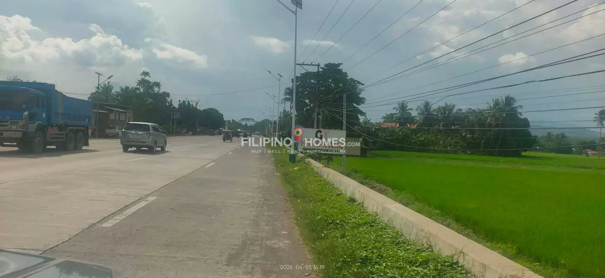 For Sale: Agricultural Lot in Villarica, Midsayap — 78372 sqm — Agricultural Lot in Midsayap, Cotabato, 9410 — Photo 2