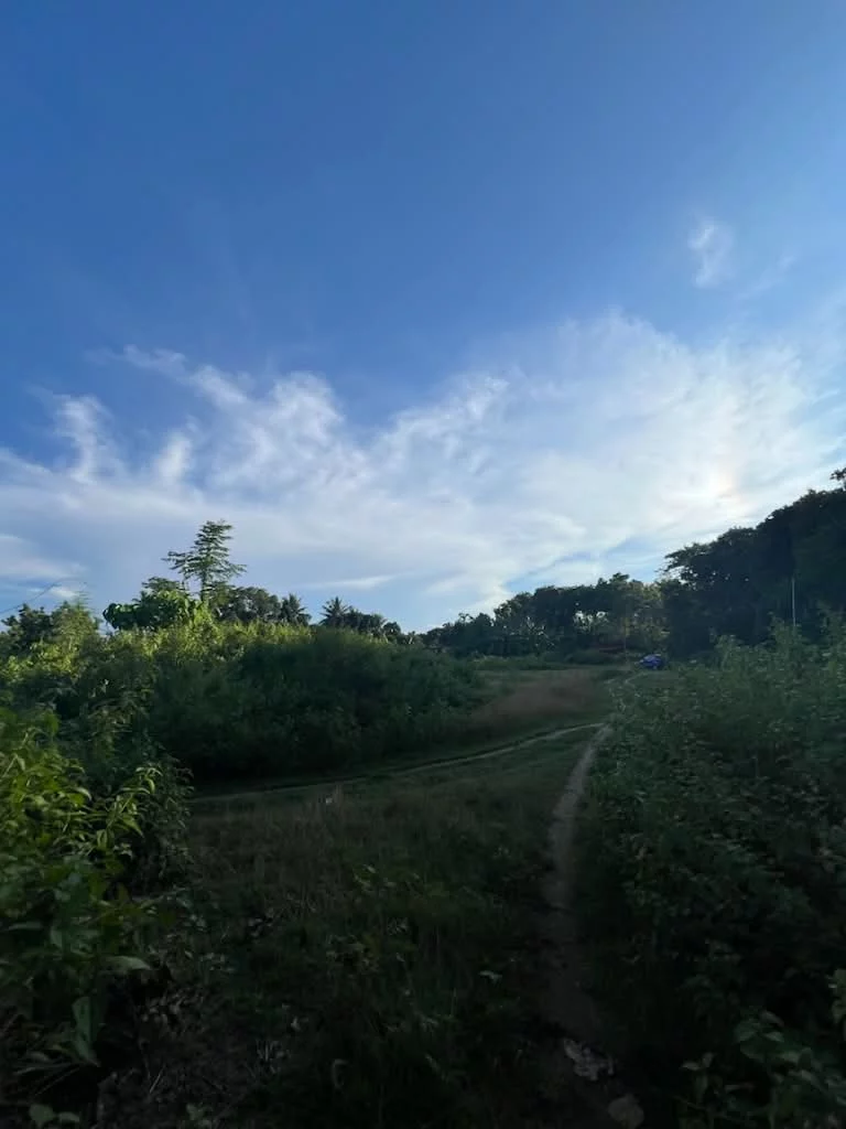 Lot for sale - 3000 sqm — Agricultural Lot in Dumaguete City, Negros Oriental, 6200 — Photo 2