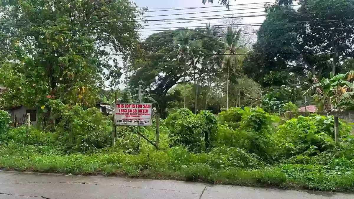 For Sale: Residential Lot in Bancao-Bancao, Puerto Princesa City — Residential Lot in Bancao-bancao, Puerto Princesa City, Palawan — Photo 3