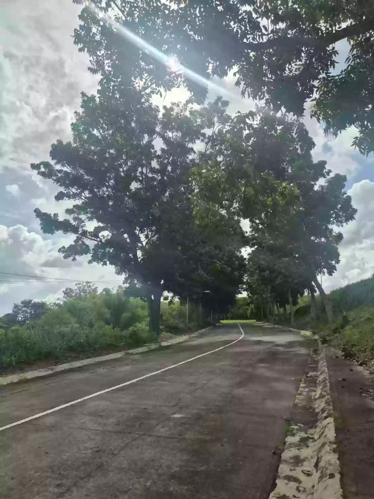 For Sale: Prime Residential Lot in Manila Southwoods Residential Estates — Residential Lot in Carmona, Cavite, 4116 — Photo 4