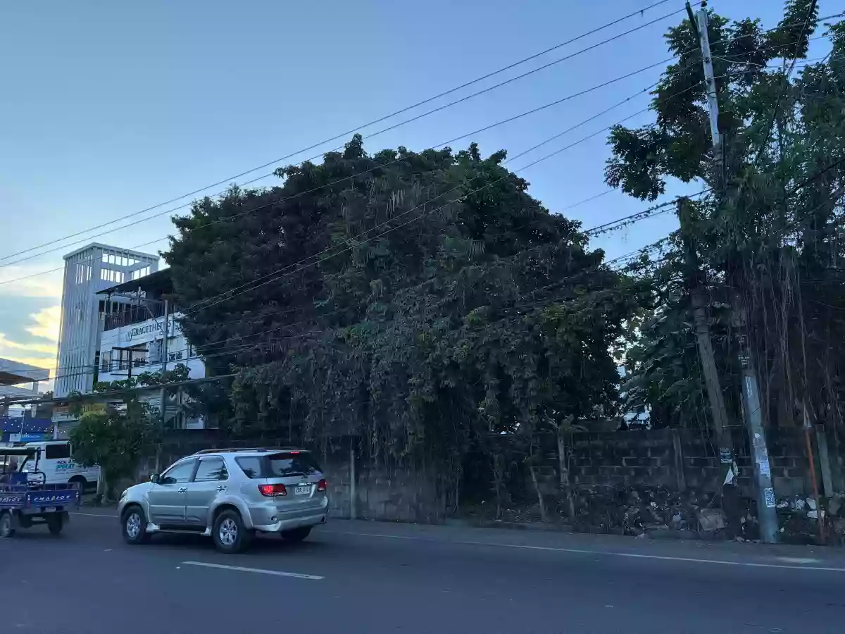 For Sale: Residential Lot in Bagacay, Dumaguete City — 1146 sqm — Residential Lot in Dumaguete City, Negros Oriental, 6200 — Photo 4