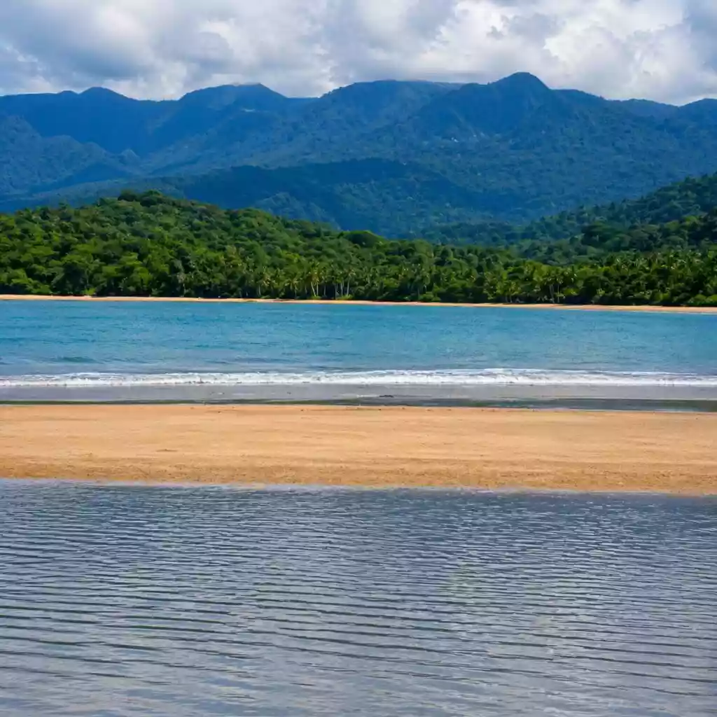 For Sale: Beach Lot in Napsan, Puerto Princesa City — 12628 sqm — Beach Lot in Puerto Princesa City, Palawan, 5300 — Photo 4