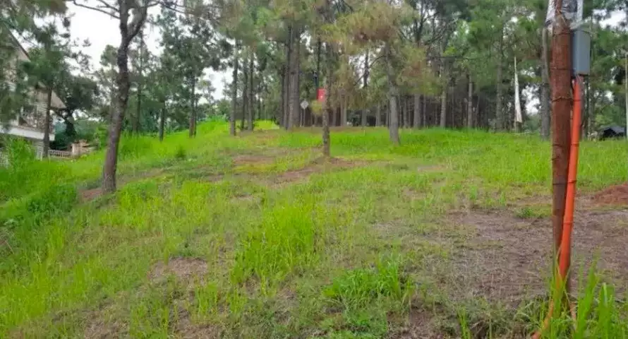 Rush Sale: LOW PRICE 340SQM RESIDENTIAL LOT INSIDE CROSSWINDS TAGAYTAY — Residential Lot in Tagaytay City, Cavite, 4120 — Photo 5