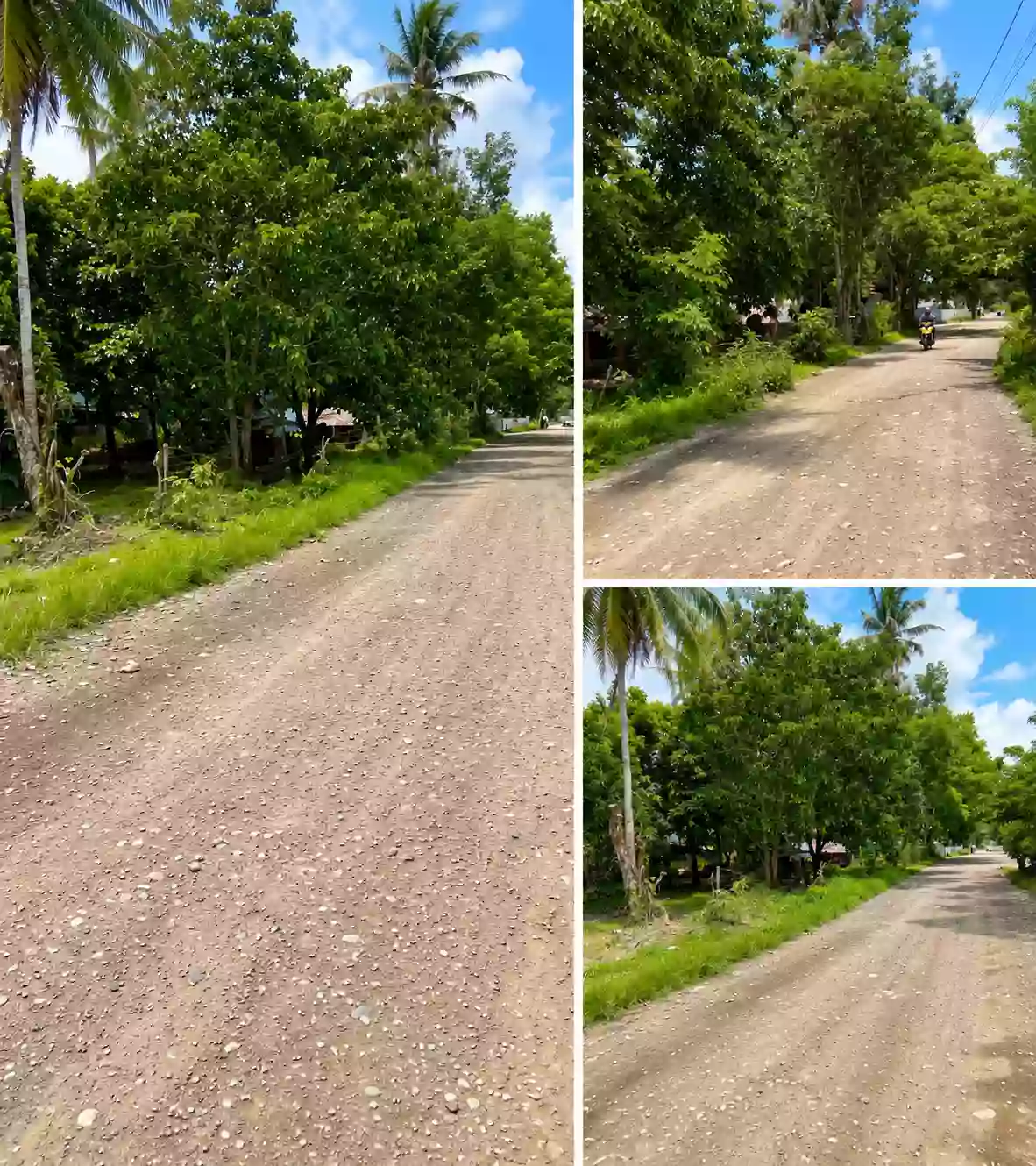 For Sale: Residential Lot in Alfonso XIII (Pob.), Quezon, Palawan — 596 sqm — Residential Lot in Alfonso XIII (Pob.), Quezon, Palawan — Photo 2