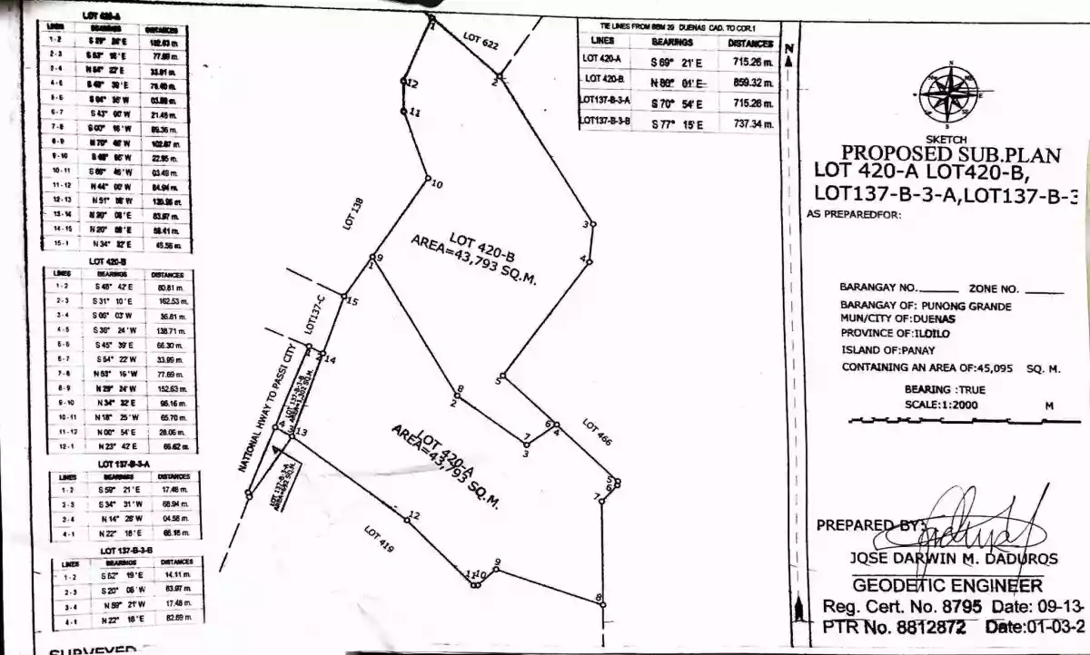 43,793 SQM Agricultural Lot For Sale Near Passi City | Along Road in Dueñas, Iloilo — Agricultural Lot in Duenas, Iloilo, 5038 — Photo 5