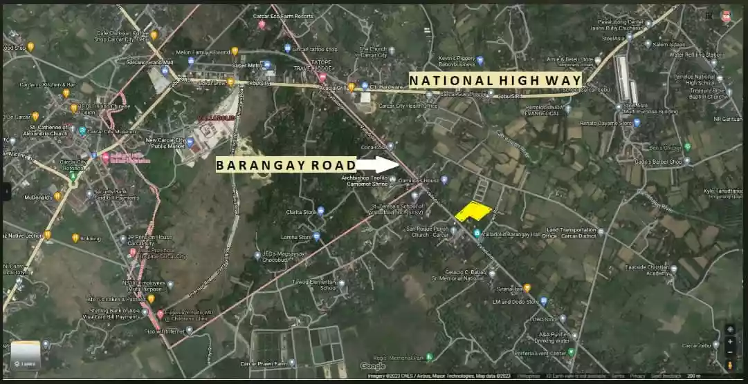 For Sale: Commercial Lot in Valladolid, Carcar — 6000 sqm — Commercial Lot in Carcar, Cebu, 6019 — Photo 3