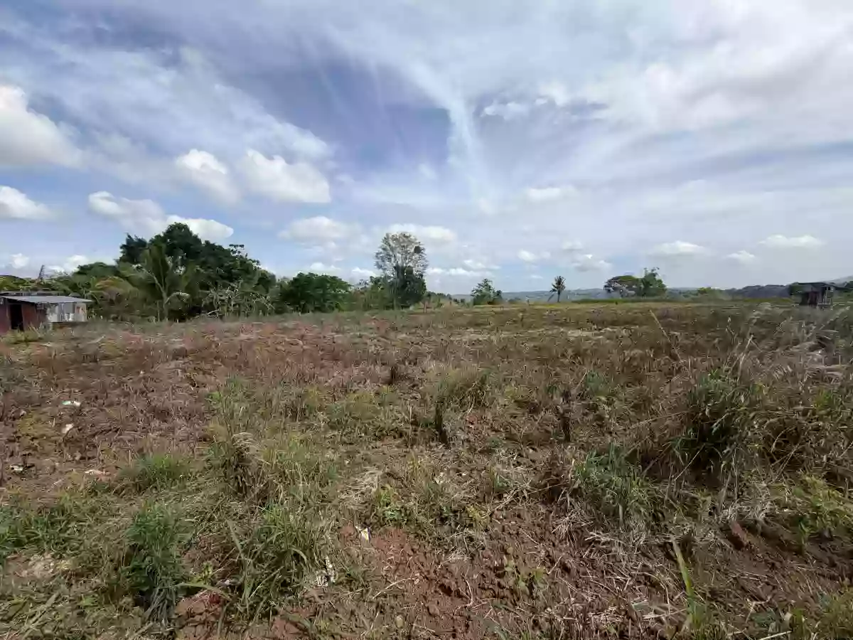 For Sale: Agricultural Lot in Liboran, Balungon, Bukidnon — 14000 sqm — Agricultural Lot in Balungon, Bukidnon, 8707 — Photo 5