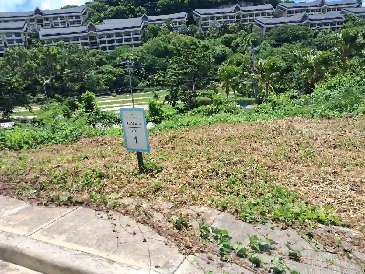271 sqm Prime Lot in Newcoast Village, Boracay — Residential Lot in Malay, Aklan, 5608 — Photo 3