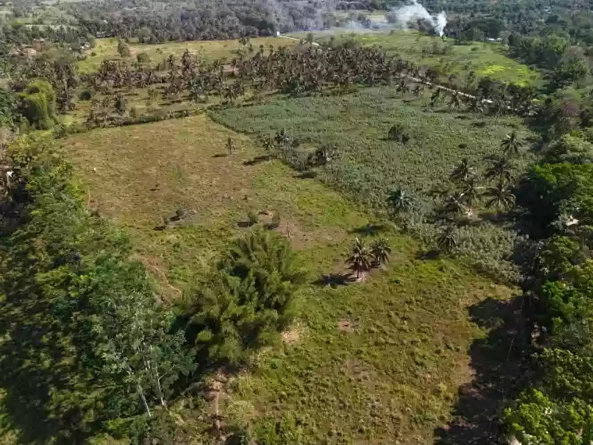 5 HECTARES OF OPPORTUNITY IN MAMBATANGAN — Residential Lot in Manolo Fortich, Bukidnon, 8703 — Photo 5