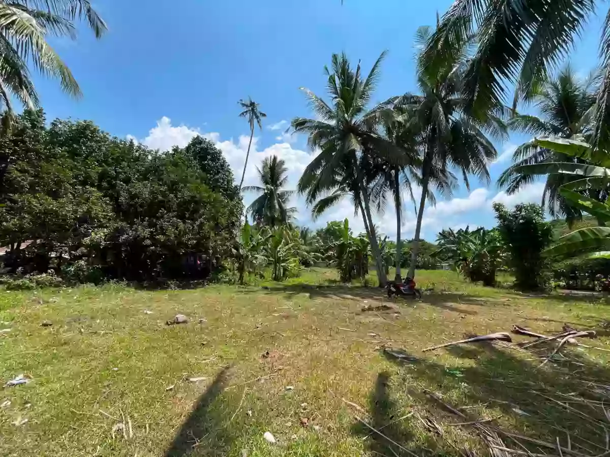 For Sale: Residential Lot in Bacung, Negros Oriental — 1898 sqm — Residential Lot in Bacung, Negros Oriental, 6216 — Photo 2