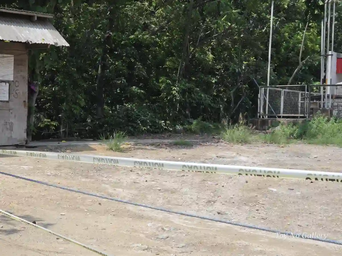 For Rent: Commercial Lot Near Cebu City — 350 sqm in Naga City — Commercial Lot in Naga City, Cebu, 6037 — Photo 3