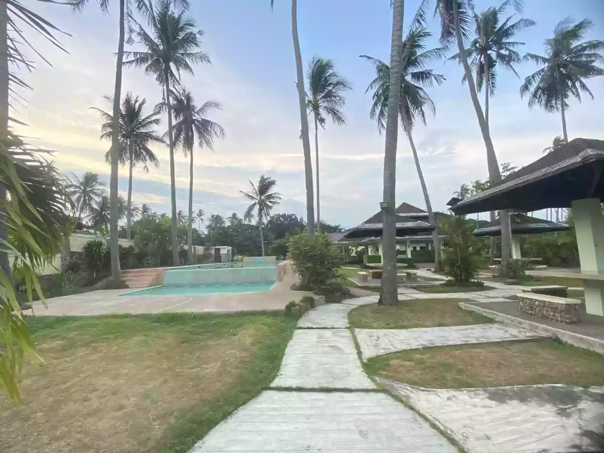 RESIDENTIAL LOT FOR SALE IN APO VISTA - 1336 — Residential Lot in Zamboanguita, Negros Oriental, 6218 — Photo 7