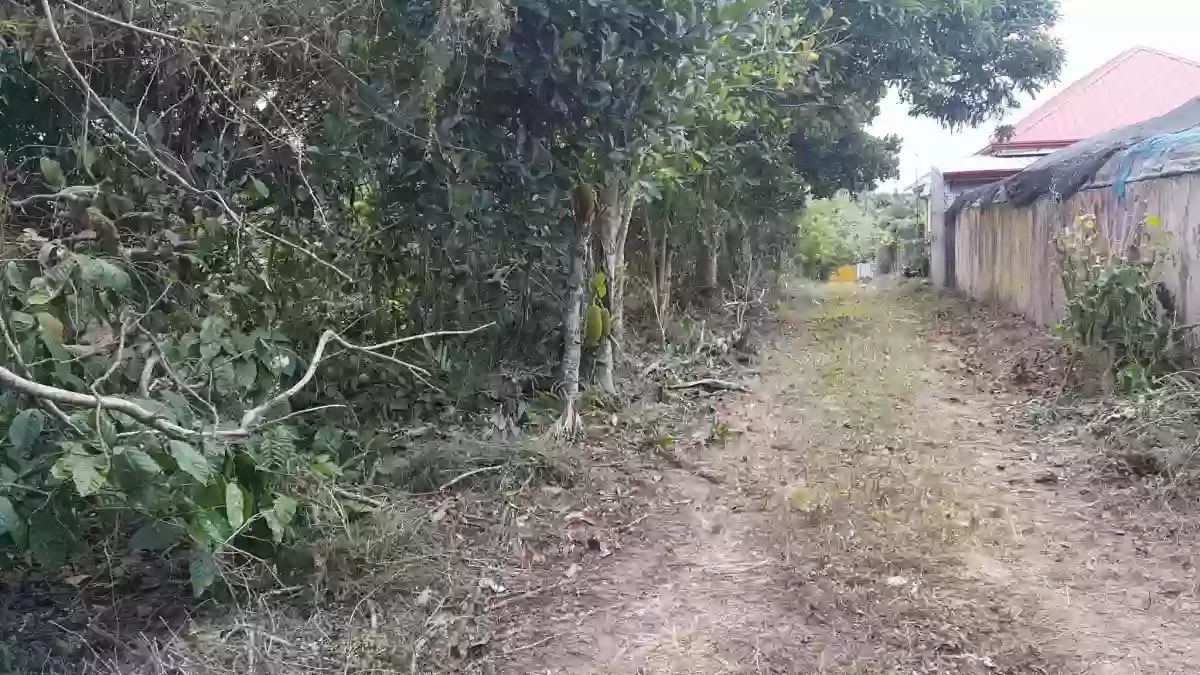 For Sale: Agricultural Lot with 32 meters Frontage in Ulat, Silang — Agricultural Lot in Silang, Cavite, 4118 — Photo 2