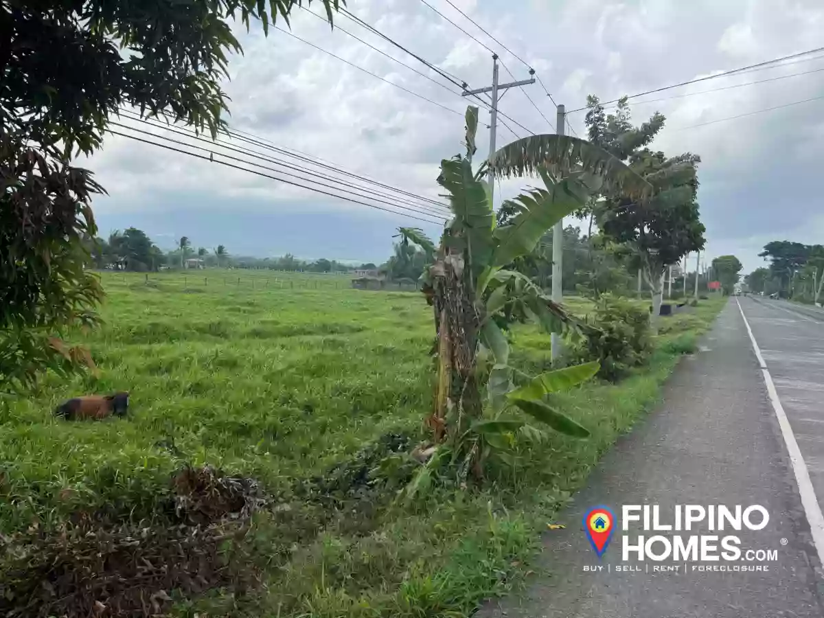 LOT for SALE 2,000 SQM along National Road