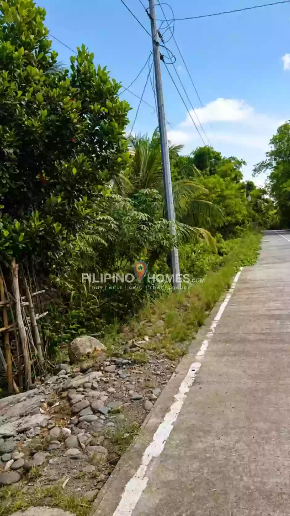 For Sale: Agricultural Lot Near North Cotabato Academy, Pigkawayan — 79556 sqm — Agricultural Lot in Pigkawayan, Cotabato, 9412 — Photo 4