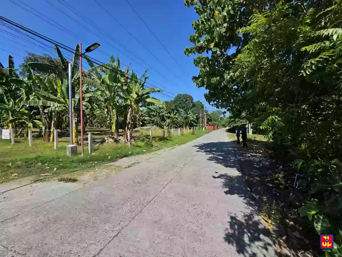 For Sale: 2,500sqm Corner Lot in San Miguel, Bacong, Negros Oriental [available] — Residential Lot in Bacung, Negros Oriental, 6216 — Photo 3