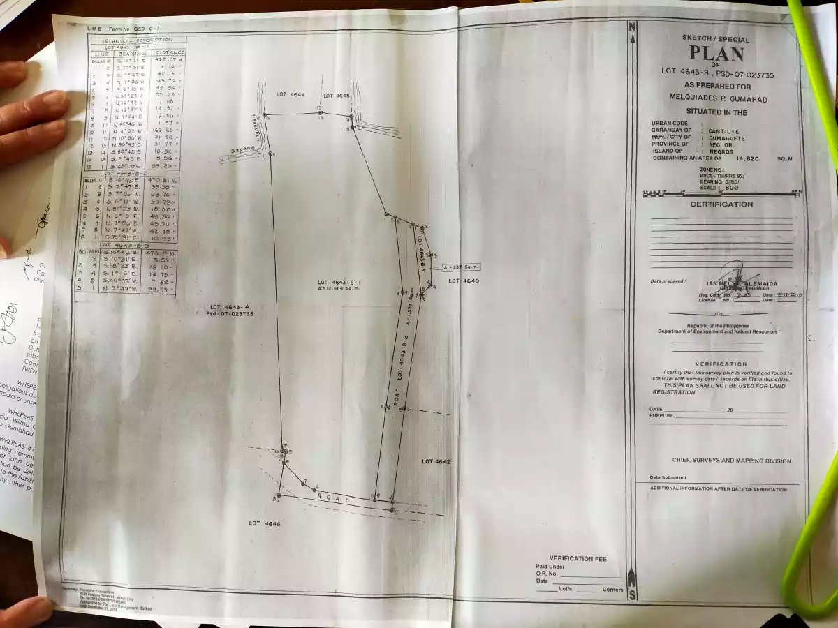 Mark jordan — Commercial Lot in Dumaguete City, Negros Oriental, 6200 — Photo 4