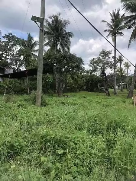 For Sale: Residential Lot in Taboc, Opol — 2232 sqm — Residential Lot in Opol, Misamis Oriental, 9016 — Photo 5